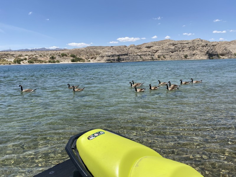 a group of people on a beach near a body of water